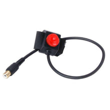 Load image into Gallery viewer, Photo - Primary