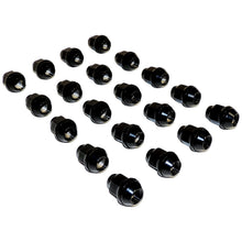 Load image into Gallery viewer, 20 Piece Lug Nut Kit for Select JK,TJ,YJ,WK,WJ,ZJ,XK,KK,KJ,XJ,MJ Models Crown Automotive