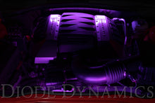Load image into Gallery viewer, RGBW Engine Bay Strip Kit 4pc Multicolor Diode Dynamics
