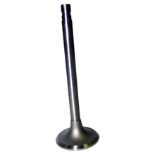 Load image into Gallery viewer, J3218731.jpg