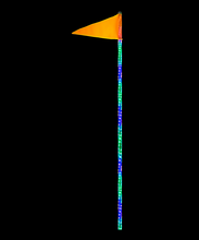 Load image into Gallery viewer, QW493_6ft_HD-Whip_1_1.png