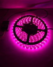 Load image into Gallery viewer, Quake LED Auxiliary Light RGB LED Accent Strip Lights Quad-Lock/Interlock Compatible - QSL200 - Quake LED