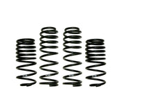 Load image into Gallery viewer, Skyjacker Lift Springs Skyjacker Coil Spring Set 2007-2010 Jeep Wrangler (JK) 4 Wheel Drive